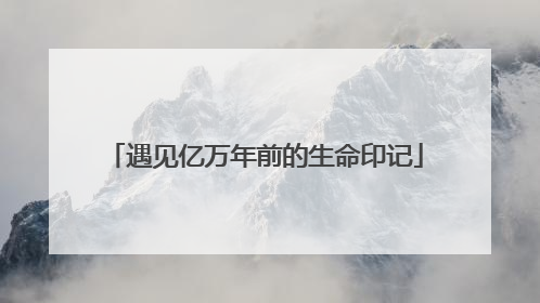 遇见亿万年前的生命印记