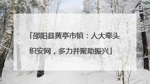 邵阳县黄亭市镇：人大牵头织安网，多力并聚助振兴