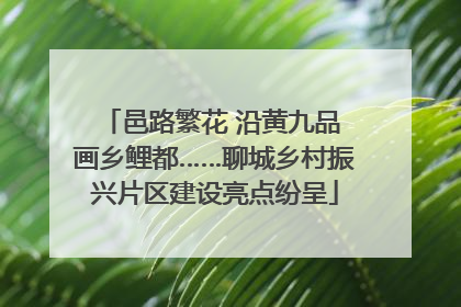 邑路繁花 沿黄九品 画乡鲤都……聊城乡村振兴片区建设亮点纷呈