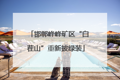 邯郸峰峰矿区“白茬山”重新披绿装
