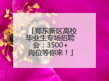 郑东新区高校毕业生专场招聘会：3500+岗位等你来！