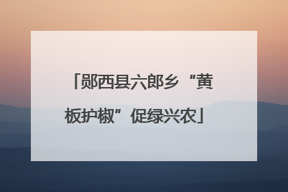 郧西县六郎乡“黄板护椒”促绿兴农