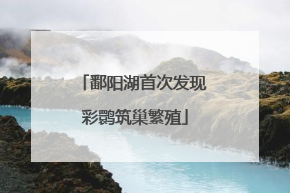鄱阳湖首次发现彩鹮筑巢繁殖