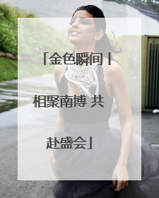 金色瞬间丨相聚南博 共赴盛会