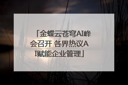 金蝶云苍穹AI峰会召开 各界热议AI赋能企业管理