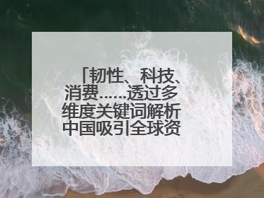 韧性、科技、消费……透过多维度关键词解析中国吸引全球资本“新磁场”