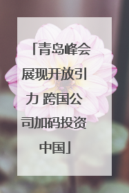 青岛峰会展现开放引力 跨国公司加码投资中国