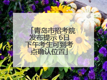 青岛市招考院发布提示 6日下午考生可到考点确认位置