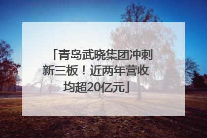 青岛武晓集团冲刺新三板！近两年营收均超20亿元