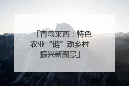 青岛莱西：特色农业“链”动乡村振兴新图景