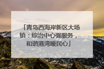 青岛西海岸新区大场镇：综治中心强服务，和谐港湾暖民心