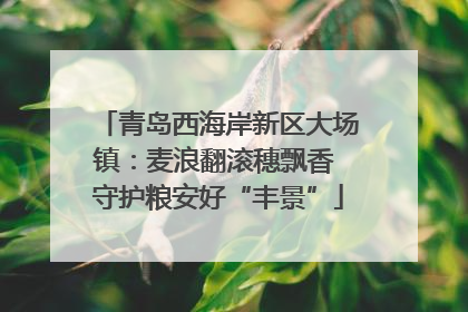 青岛西海岸新区大场镇：麦浪翻滚穗飘香 守护粮安好“丰景”