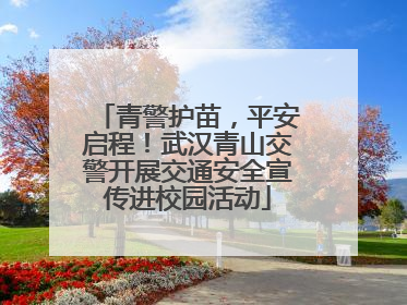 青警护苗，平安启程！武汉青山交警开展交通安全宣传进校园活动
