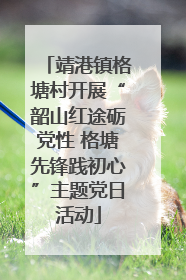 靖港镇格塘村开展“韶山红途砺党性 格塘先锋践初心”主题党日活动
