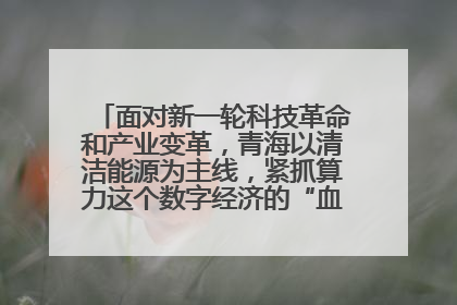 面对新一轮科技革命和产业变革，青海以清洁能源为主线，紧抓算力这个数字经济的“血液”、科技主权的“筹码”、产业升级的“杠杆”、绿色转型的“支点”，勇于撬动国家“双碳”战略、“东数西算”工程重大发展新机遇