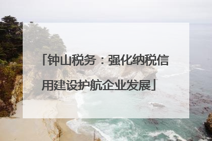 钟山税务：强化纳税信用建设护航企业发展