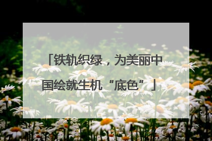铁轨织绿，为美丽中国绘就生机“底色”