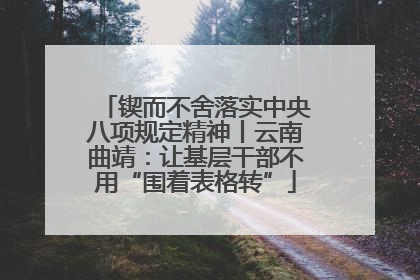 锲而不舍落实中央八项规定精神丨云南曲靖：让基层干部不用“围着表格转”