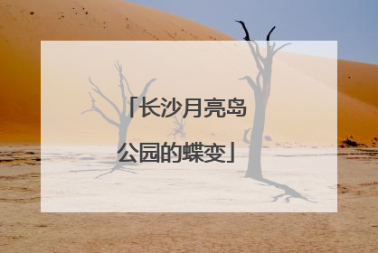 长沙月亮岛公园的蝶变