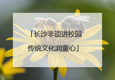 长沙非遗进校园 传统文化润童心
