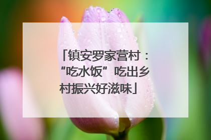 镇安罗家营村：“吃水饭”吃出乡村振兴好滋味