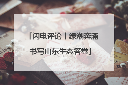 闪电评论丨绿潮奔涌 书写山东生态答卷