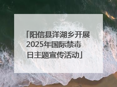 阳信县洋湖乡开展2025年国际禁毒日主题宣传活动