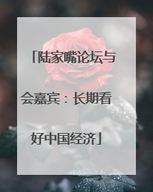 陆家嘴论坛与会嘉宾：长期看好中国经济