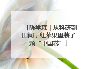 陈学森｜从科研到田间，红苹果里装了颗“中国芯”