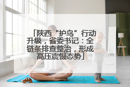 陕西“护鸟”行动升级，省委书记：全链条排查整治，形成高压震慑态势