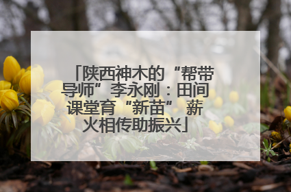 陕西神木的“帮带导师”李永刚：田间课堂育“新苗” 薪火相传助振兴
