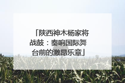 陕西神木杨家将战鼓：奏响国际舞台前的激昂乐章