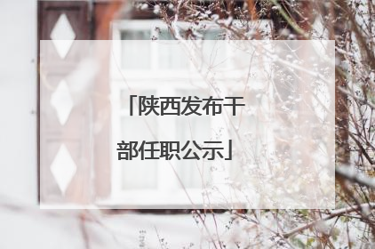 陕西发布干部任职公示