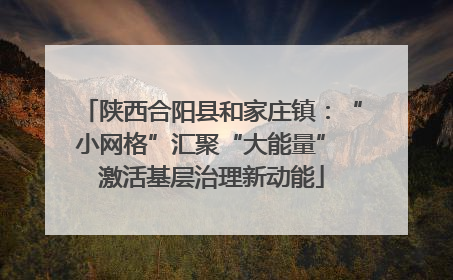 陕西合阳县和家庄镇：“小网格”汇聚“大能量” 激活基层治理新动能