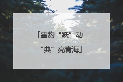 雪豹“跃”动 “典”亮青海