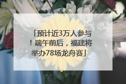 预计近3万人参与！端午前后，福建将举办78场龙舟赛