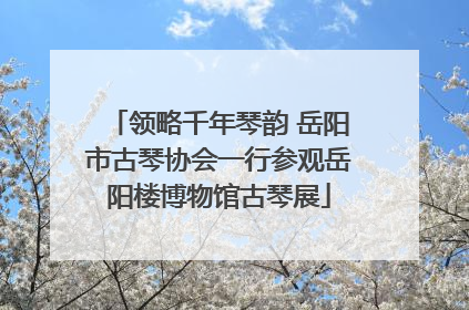 领略千年琴韵 岳阳市古琴协会一行参观岳阳楼博物馆古琴展