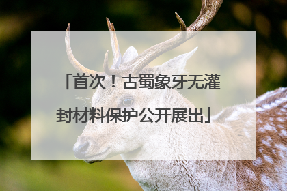 首次！古蜀象牙无灌封材料保护公开展出