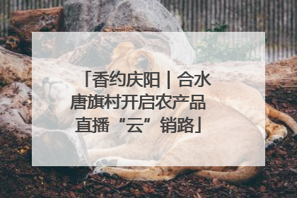 香约庆阳｜合水唐旗村开启农产品直播“云”销路