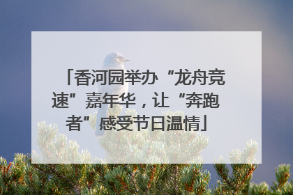 香河园举办“龙舟竞速”嘉年华，让“奔跑者”感受节日温情