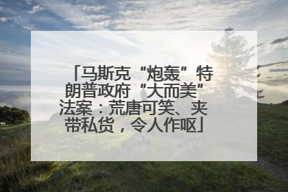 马斯克“炮轰”特朗普政府“大而美”法案：荒唐可笑、夹带私货，令人作呕