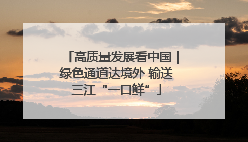 高质量发展看中国｜绿色通道达境外 输送三江“一口鲜”