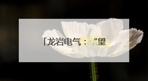 龙岩电气：“望闻问切”查隐患 精检精修保安全