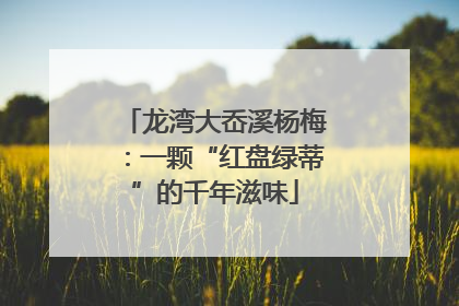 龙湾大岙溪杨梅：一颗“红盘绿蒂”的千年滋味