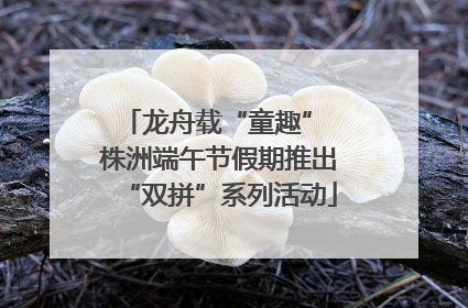 龙舟载“童趣” 株洲端午节假期推出“双拼”系列活动
