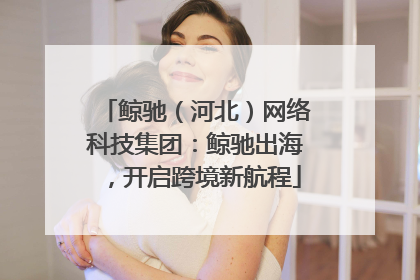 鲸驰（河北）网络科技集团：鲸驰出海，开启跨境新航程