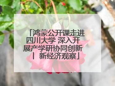 鸿蒙公开课走进四川大学 深入开展产学研协同创新丨 新经济观察