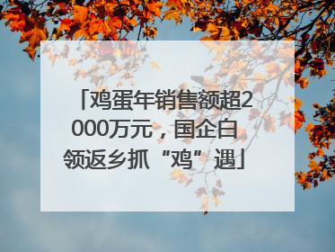 鸡蛋年销售额超2000万元，国企白领返乡抓“鸡”遇