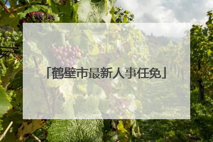 鹤壁市最新人事任免