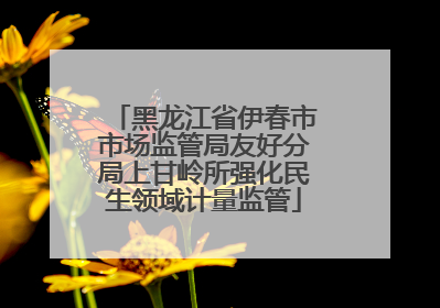 黑龙江省伊春市市场监管局友好分局上甘岭所强化民生领域计量监管